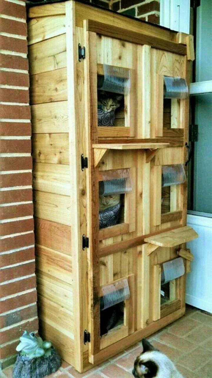 DIY Outdoor Cat Shelter for Multiple Cats