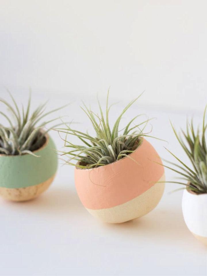 DIY air plant pots – almost makes perfect