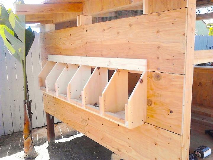 Plywood Chicken Nesting Box