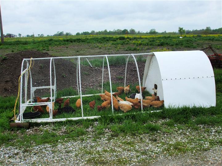 Build Your Own PVC Chicken Tractor