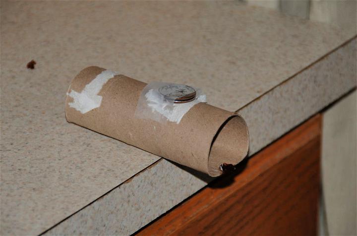 Simple 'No-Kill' DIY Mouse Trap