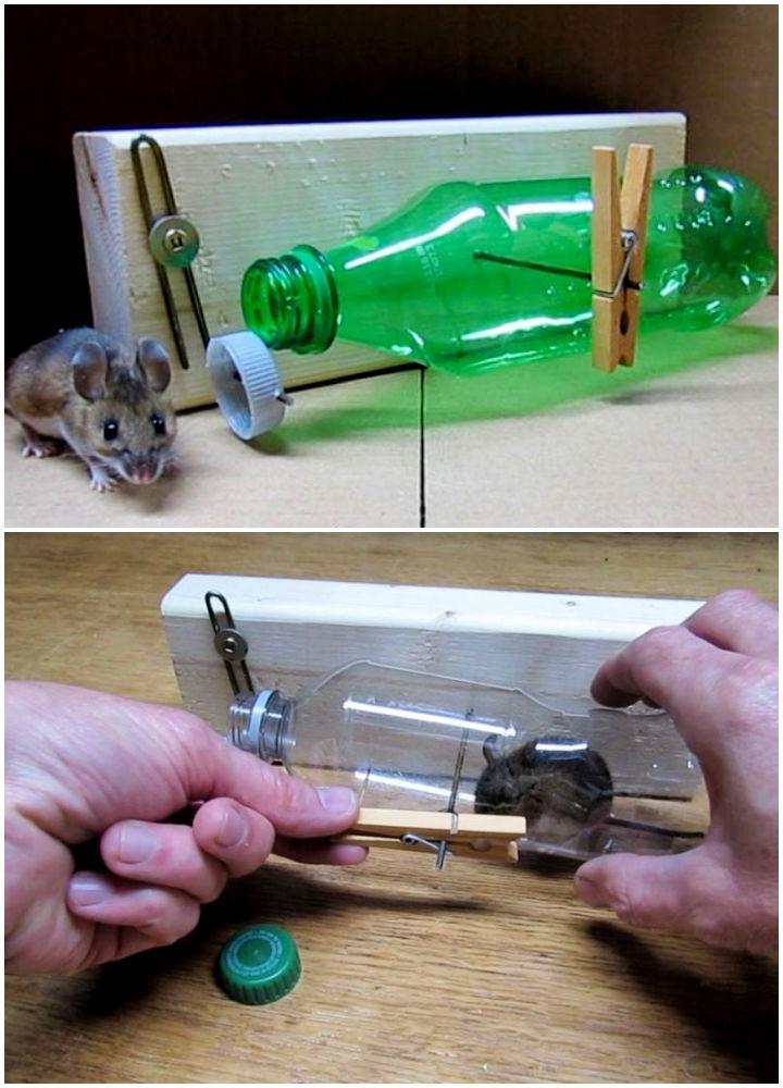 How to Make a ○ Simple Catch and Release Bottle Mousetrap ( that works ! )  