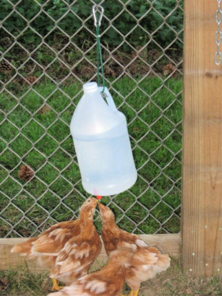 DIY Vinegar Bottle Chicken Waterer