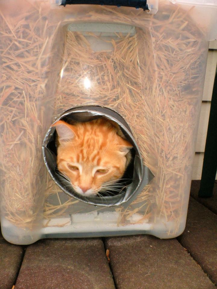 Winter Shelter for an Outdoor Cat 1
