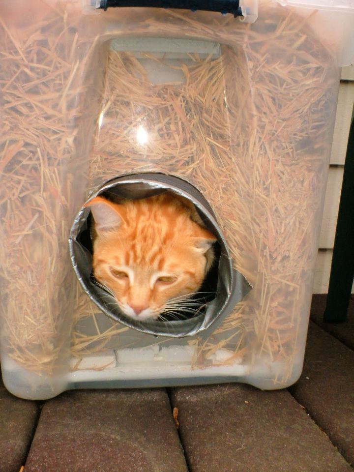 Making an Outdoor Winter Cat Shelter