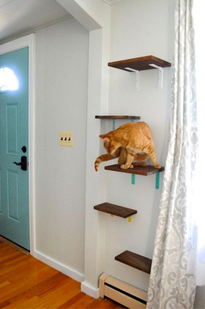 DIY Wooden Cat Shelves