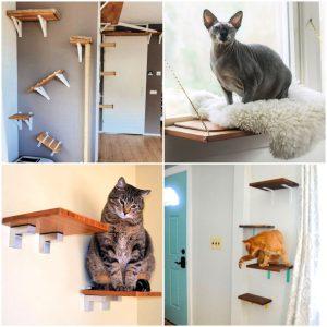 diy cat wall shelves