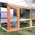 DIY Chicken Coop with Run Tutorial (Detailed Guide & Free Plan)