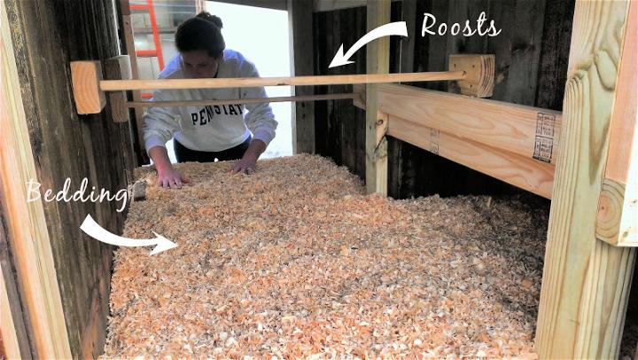 two roosts for sleeping and luxurious pine shavings for bedding