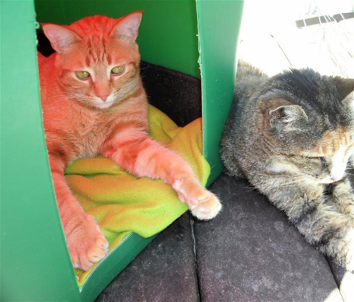 DIY: Winter Shelters for Feral Cats - Dakin Humane Society