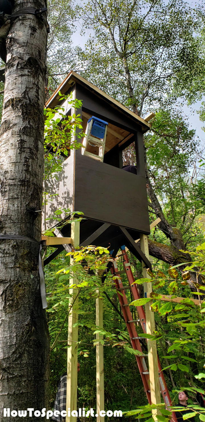 Easy DIY 5×5 Deer Blind