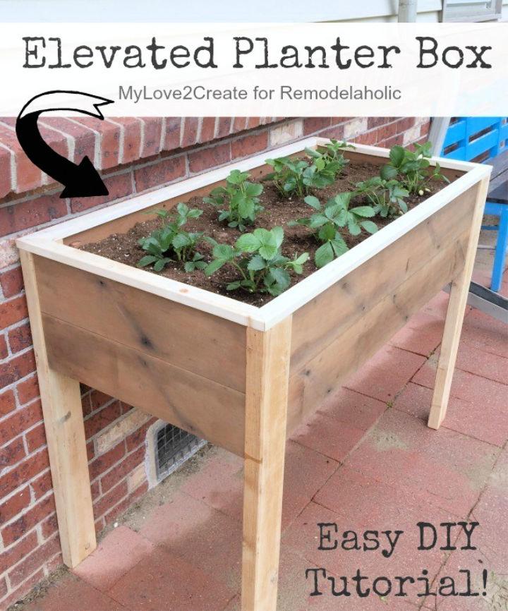 How to Build an Elevated Garden Bed