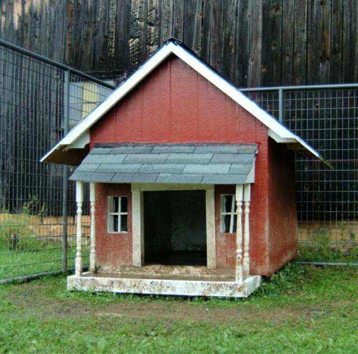 Building a Dog House With a Written Guide