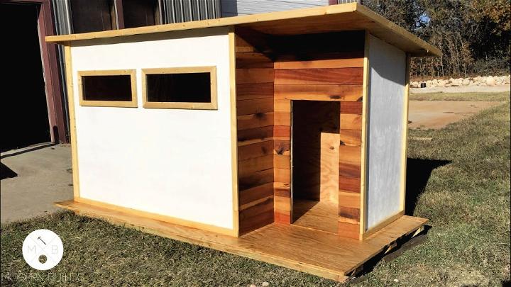 Build a Modern Dog House at Home