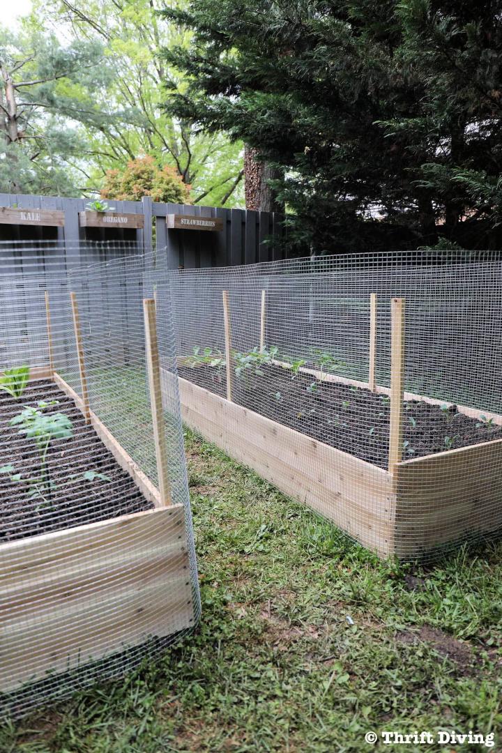Make a Cedar Raised Garden Bed With a Metal Fence