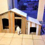 15 Free DIY Large Dog House Plans (How to Build Guide)