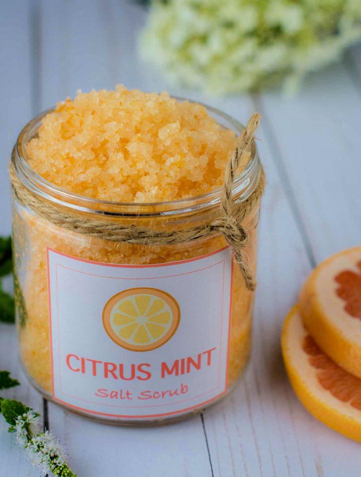 DIY Citrus Mint Salt Scrub