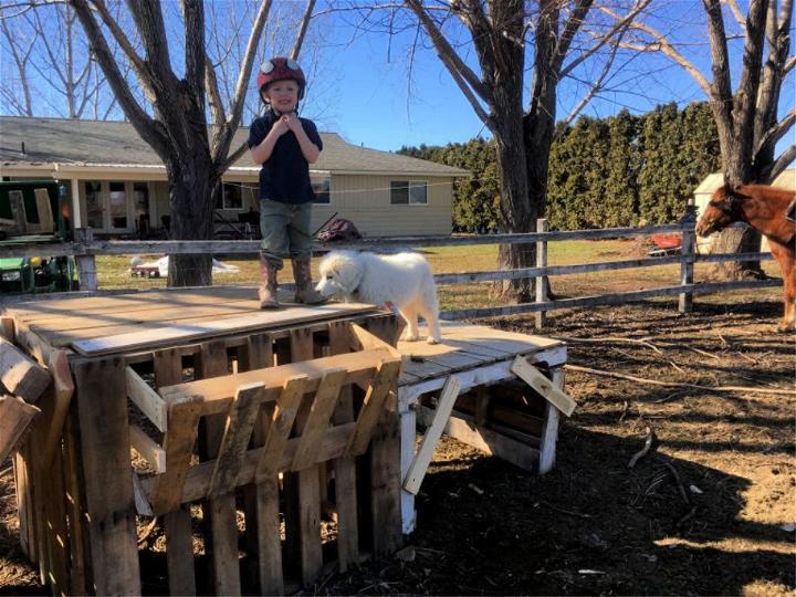 DIY Pallet Goat Shelter