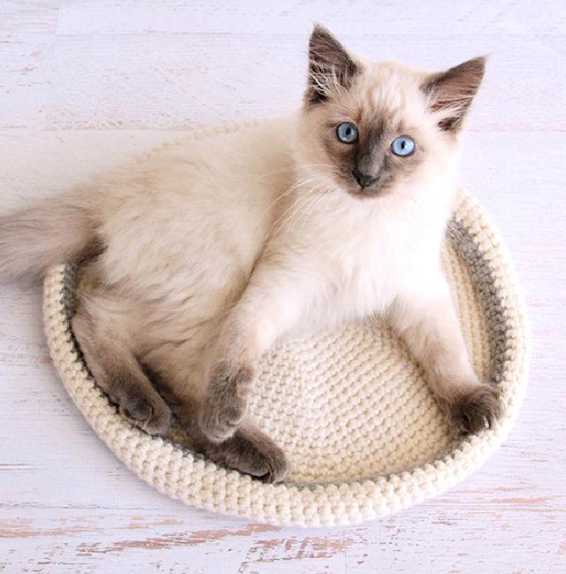 How Do You Crochet a Cat Bed