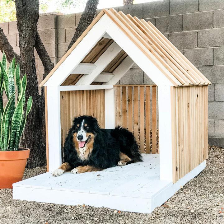 How Do You Make a Dog House