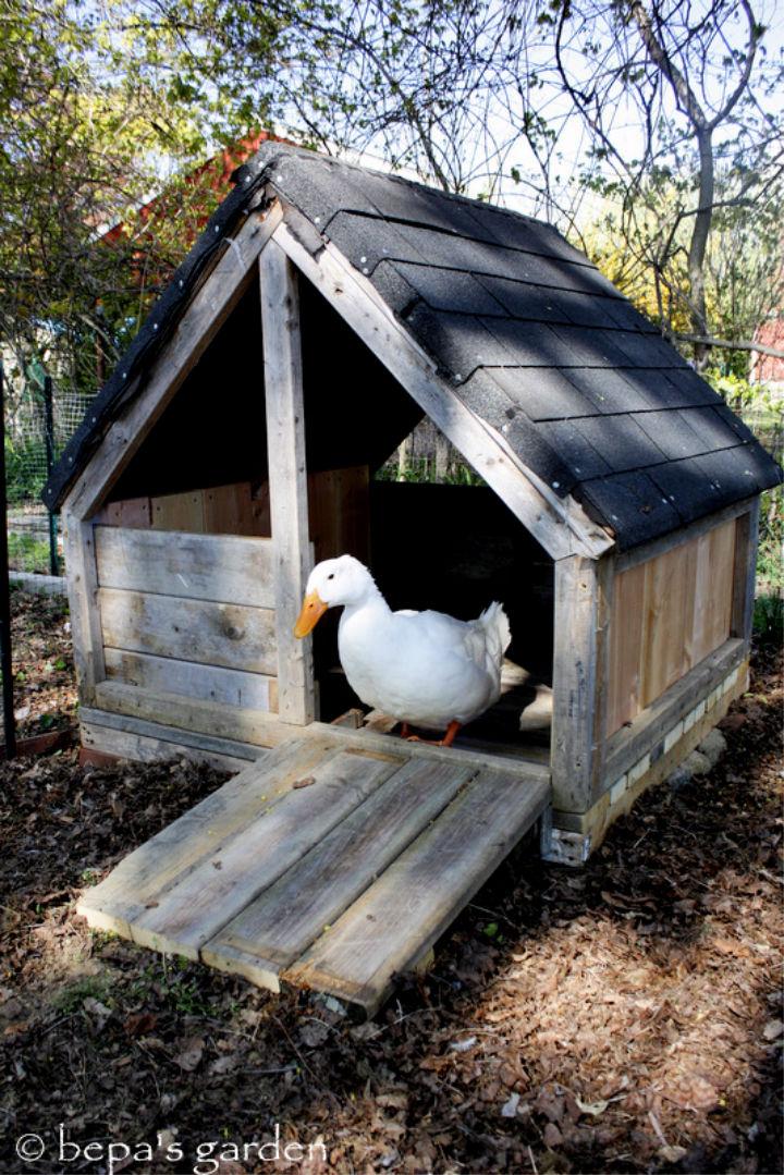 How to Build a Duck House