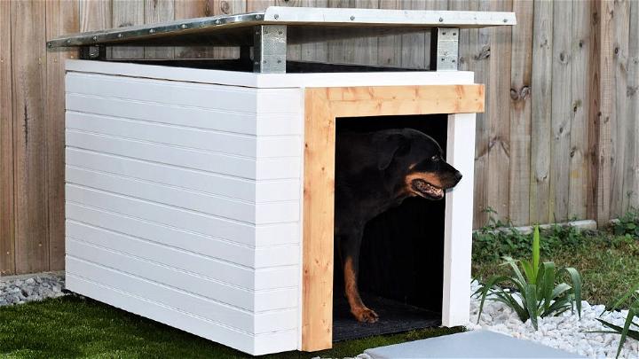 How to Make a Best Dog House