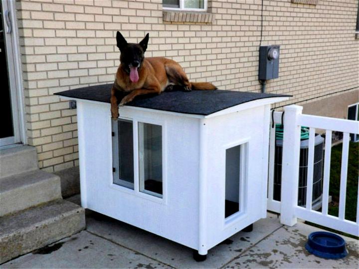How to Build a Knock-Down Dog House