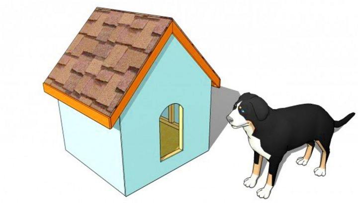 Simple DIY Wooden Dog House