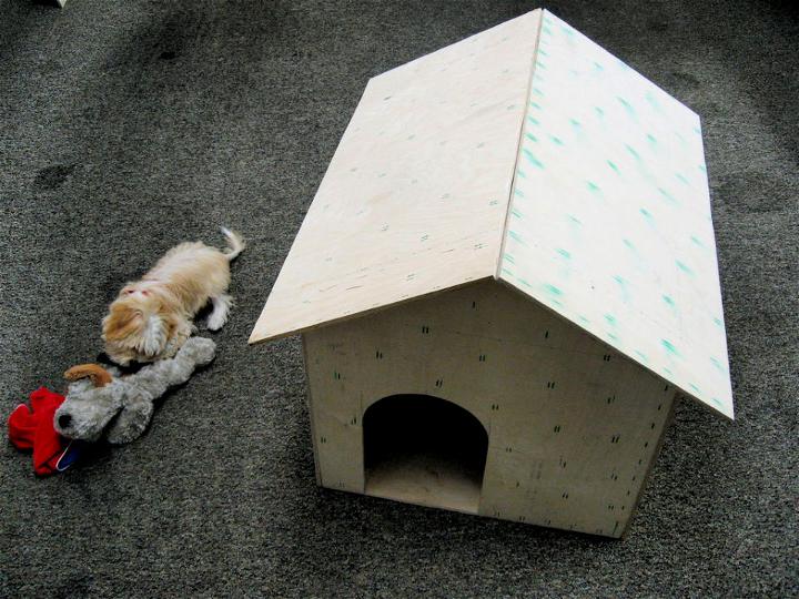 How to Build a Dog House - Step by Step