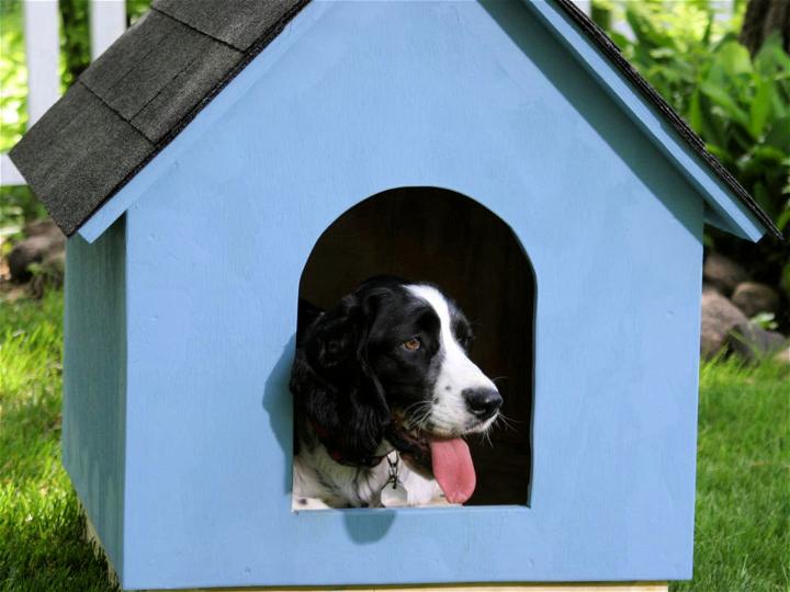 Free Gabled-Roof Dog House Woodworking Plan