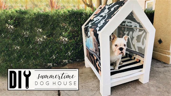 Building a Summertime Dog House