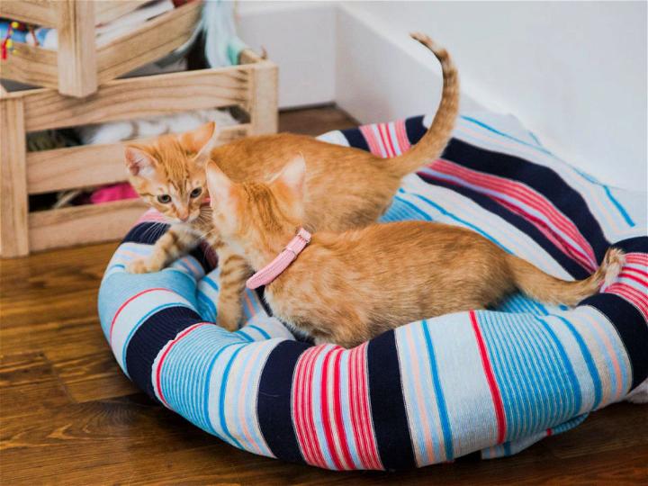 Transform Your Old Sweater Into an Ultra Cozy Pet Bed