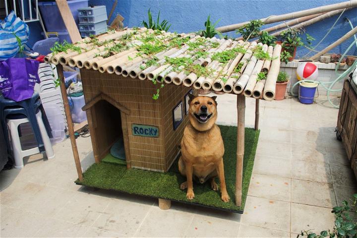 DIY Tropical Dog House
