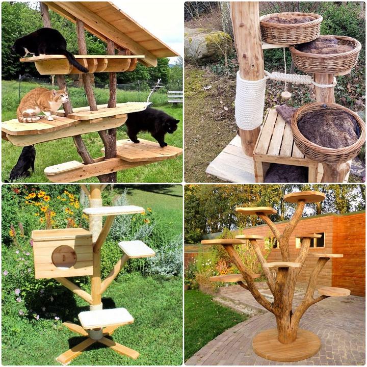 15 Free DIY Outdoor Cat Tree Ideas and Plans