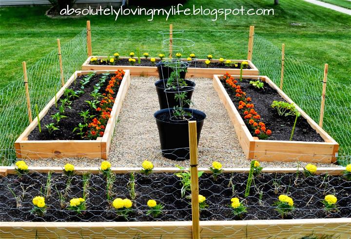 Backyard Raised Garden Beds for Beginners