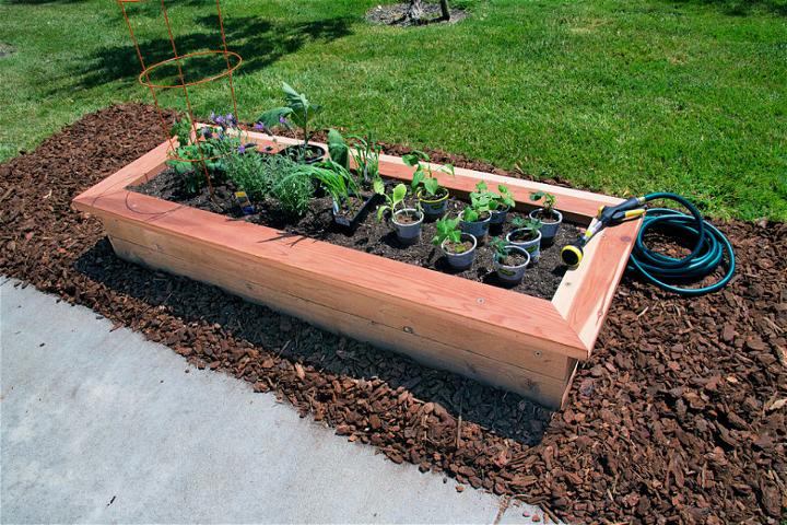 Building a Raised Garden Bed for Backyard