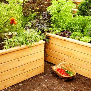 50 DIY Raised Garden Bed Plans PDF (How To Guide)