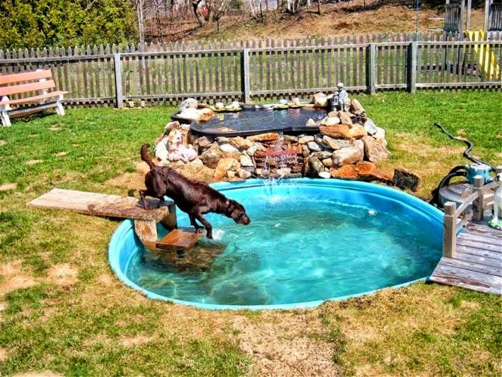 Dog Friendly Backyard Pool