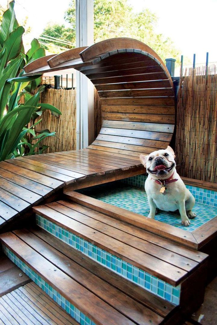 Fancy Dog Pool