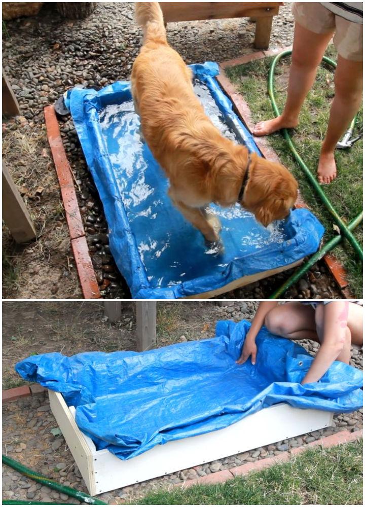 How to Build a Dog Pool