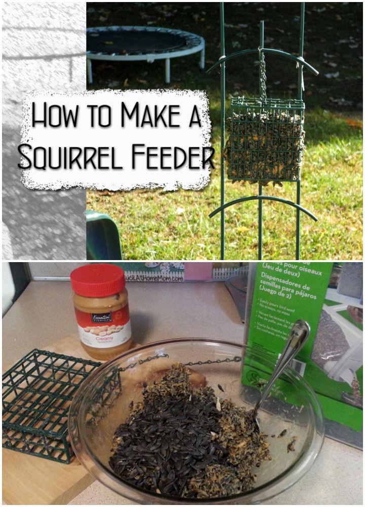 Make Your Own Squirrel Feeder