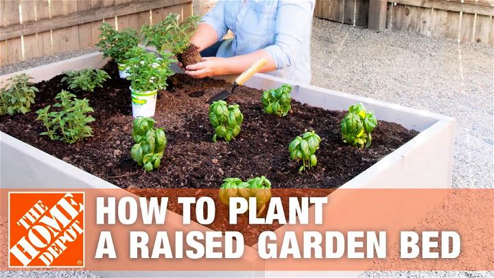 How to Plant a Raised Garden Bed