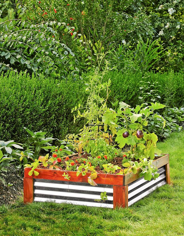 Mini Raised Garden Bed Design