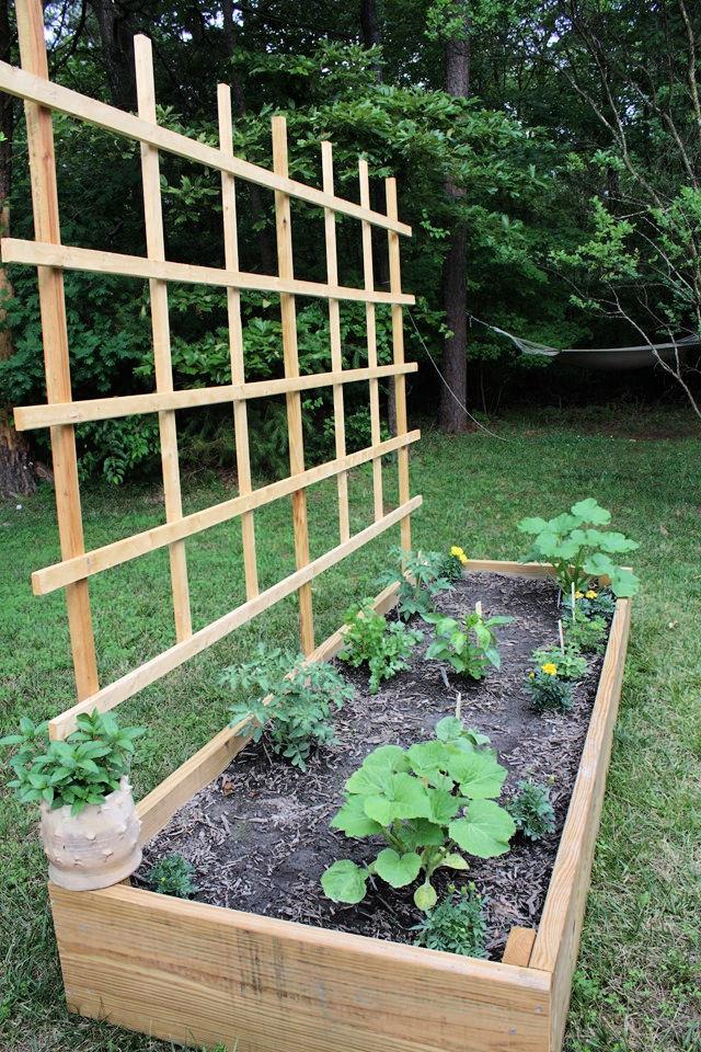 Making a Raised Garden Bed With Trellis