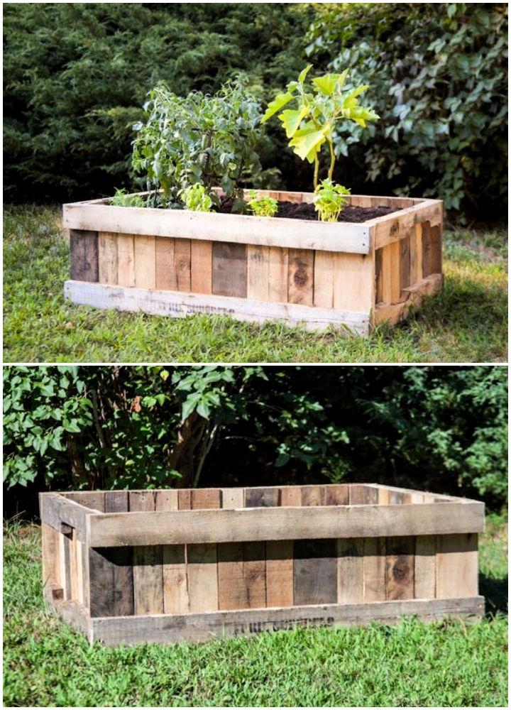 Raised Garden Bed Out of Pallet