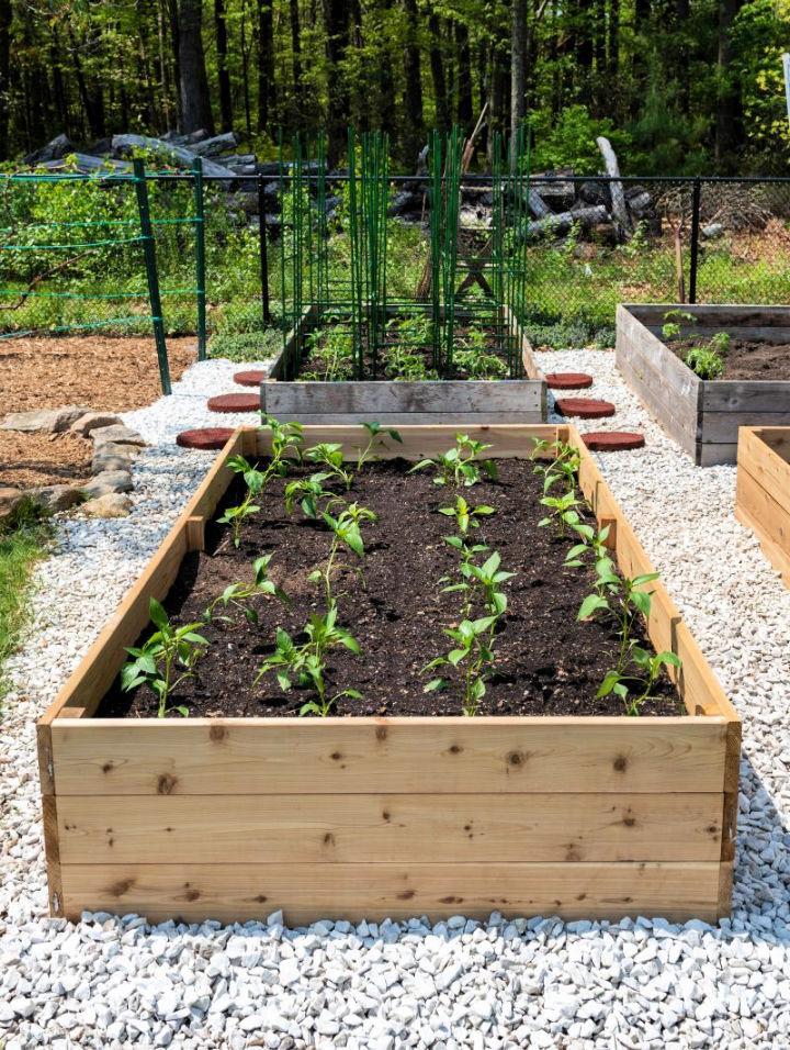 Raised Garden Beds for Vegetable Garden