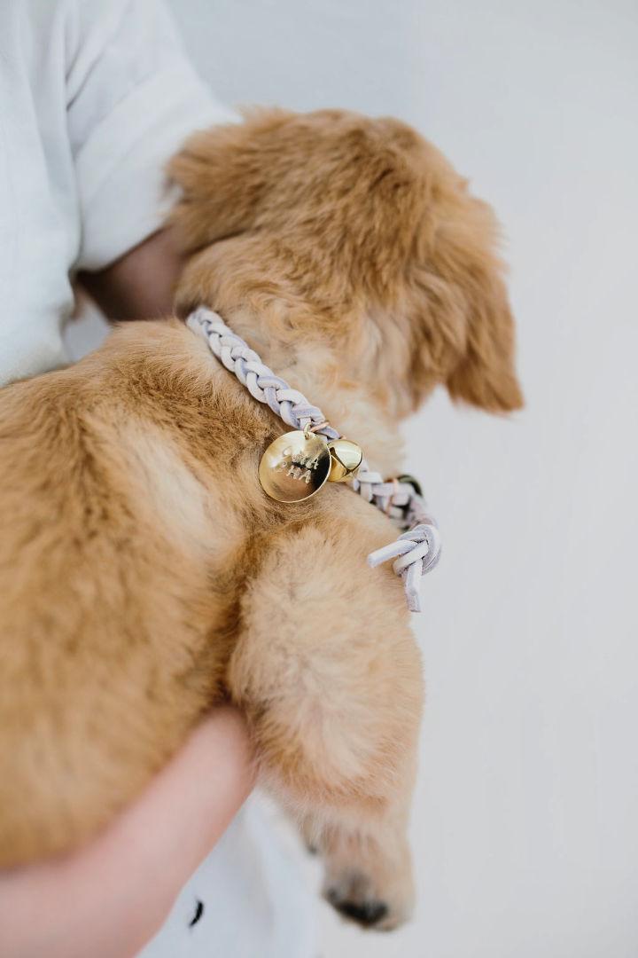 Handmade Braided Dog Collar