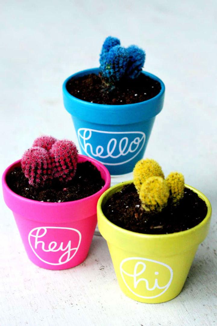 Colorful DIY Cactus Painted Pots