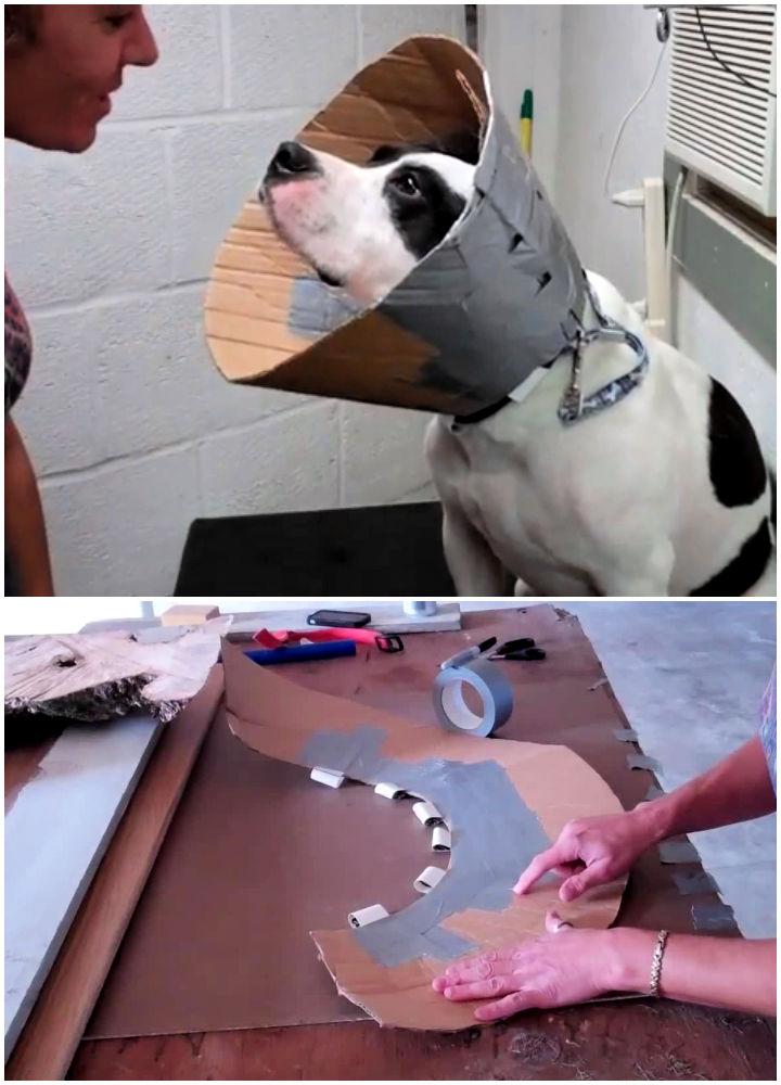 DIY Cardboard Dog Cone of Shame