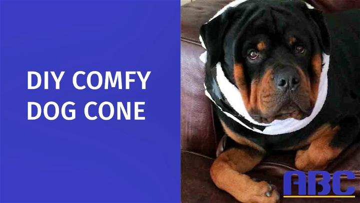 DIY Comfy Dog Cone